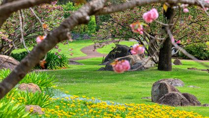 Japanese Garden - Cowra 